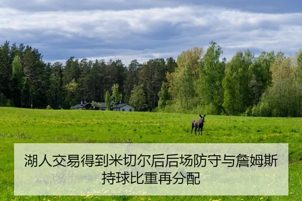 hu-ren-jiao-yi-de-dao-mi-qie-er-hou-hou-chang-fang-shou-yu-zhan-mu-si-chi-qiu-bi-zhong-zai-fen-pei-2-333.jpg